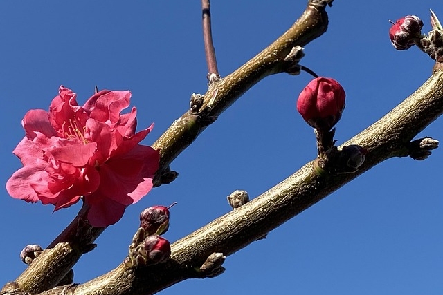 Kuukausiaiheinen kuva