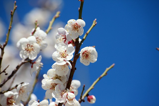 Kuukausiaiheinen kuva