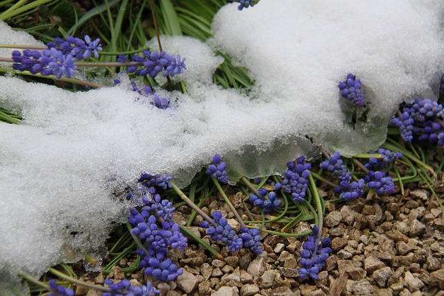 Kuukausiaiheinen kuva