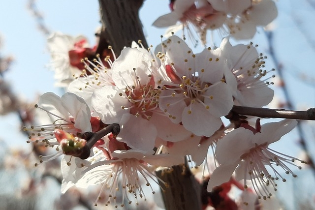 Kuukausiaiheinen kuva