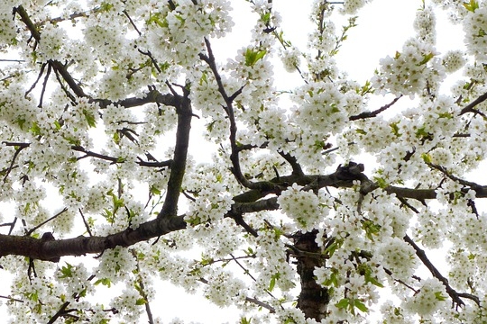 Kuukausiaiheinen kuva