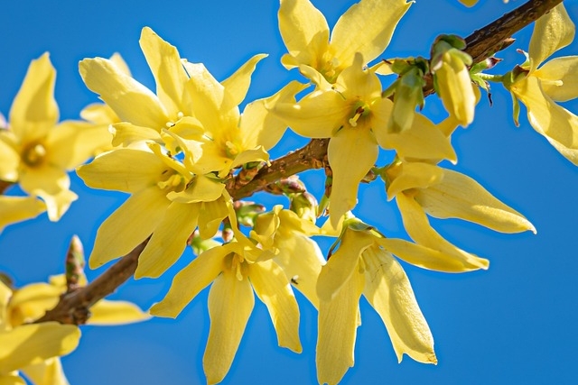 Kuukausiaiheinen kuva