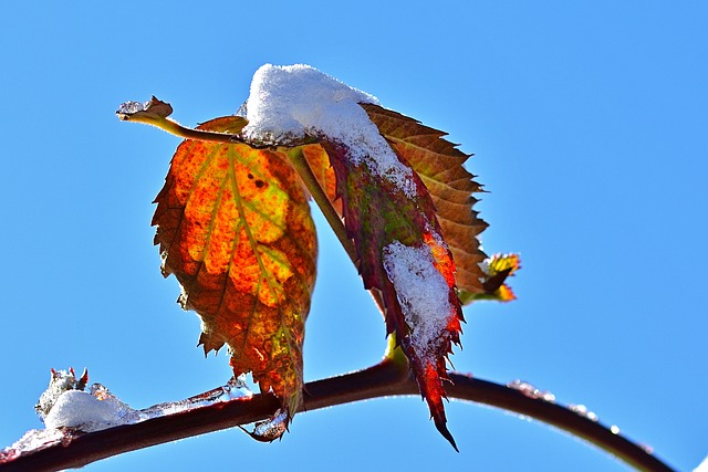 Kuukausiaiheinen kuva