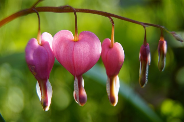 Kuukausiaiheinen kuva