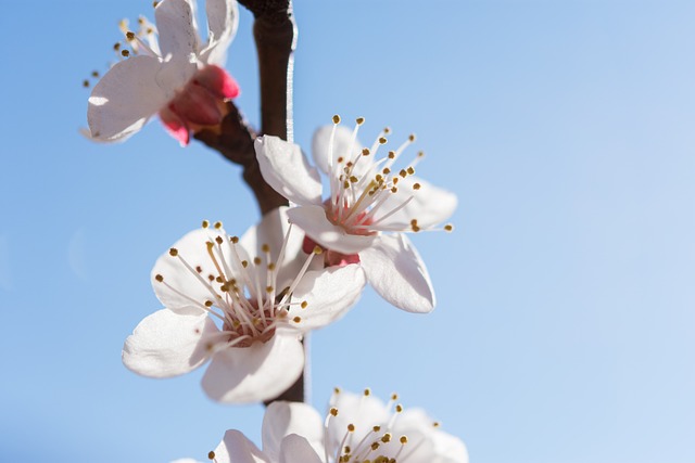 Kuukausiaiheinen kuva