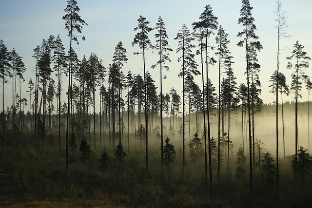Kuukausiaiheinen kuva