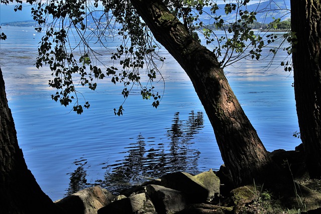 Kuukausiaiheinen kuva