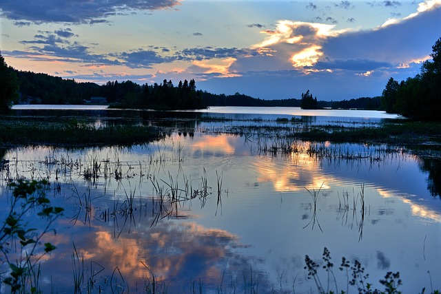 Kuukausiaiheinen kuva