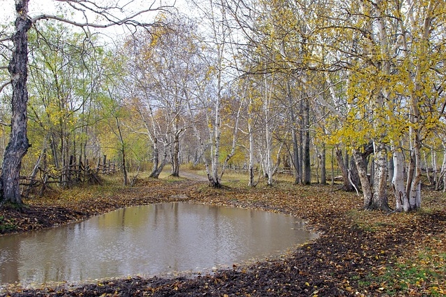 Kuukausiaiheinen kuva